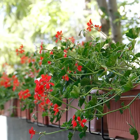 Casa Chamonin Gressan