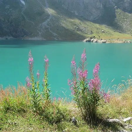 Casa Chamonin Aparthotel