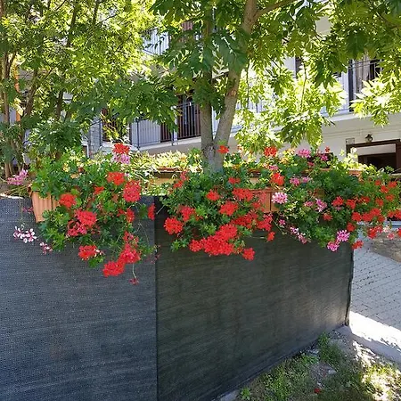 Casa Chamonin 3* 그레산