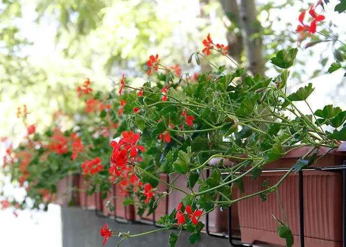 Casa Chamonin Gressan